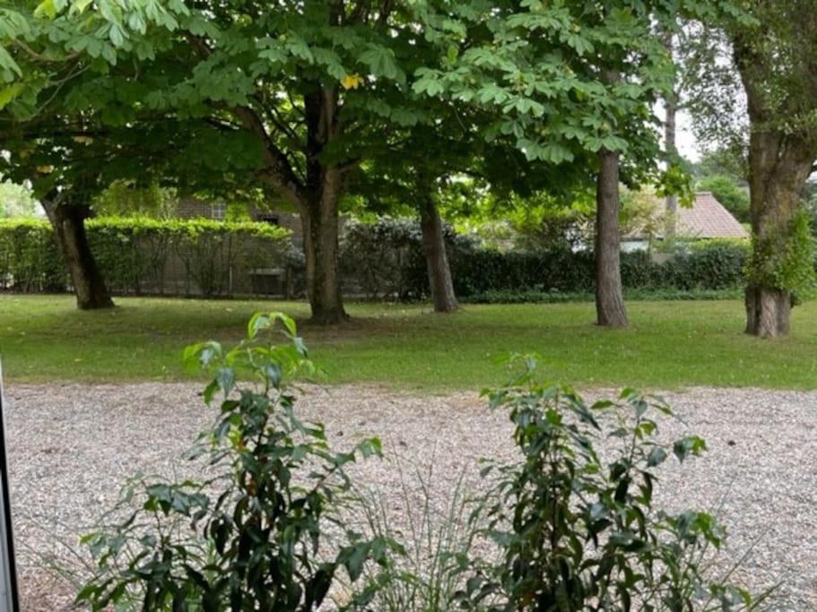 Maison Touquet Pour 4 Personnes Le Touquet ภายนอก รูปภาพ